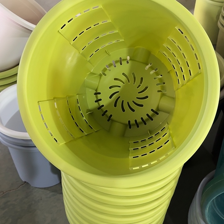 测40口径4个无托果绿微瑕