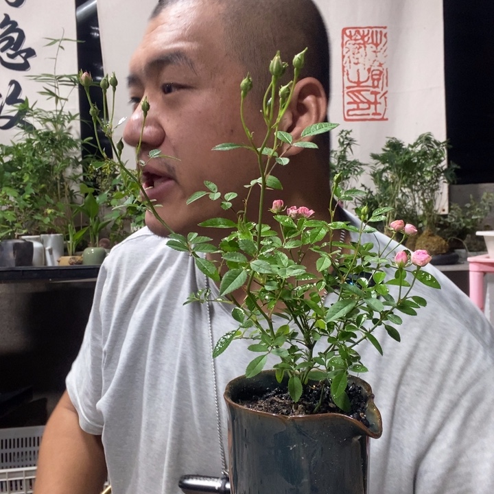 无花朵退款拉黑拉黑169