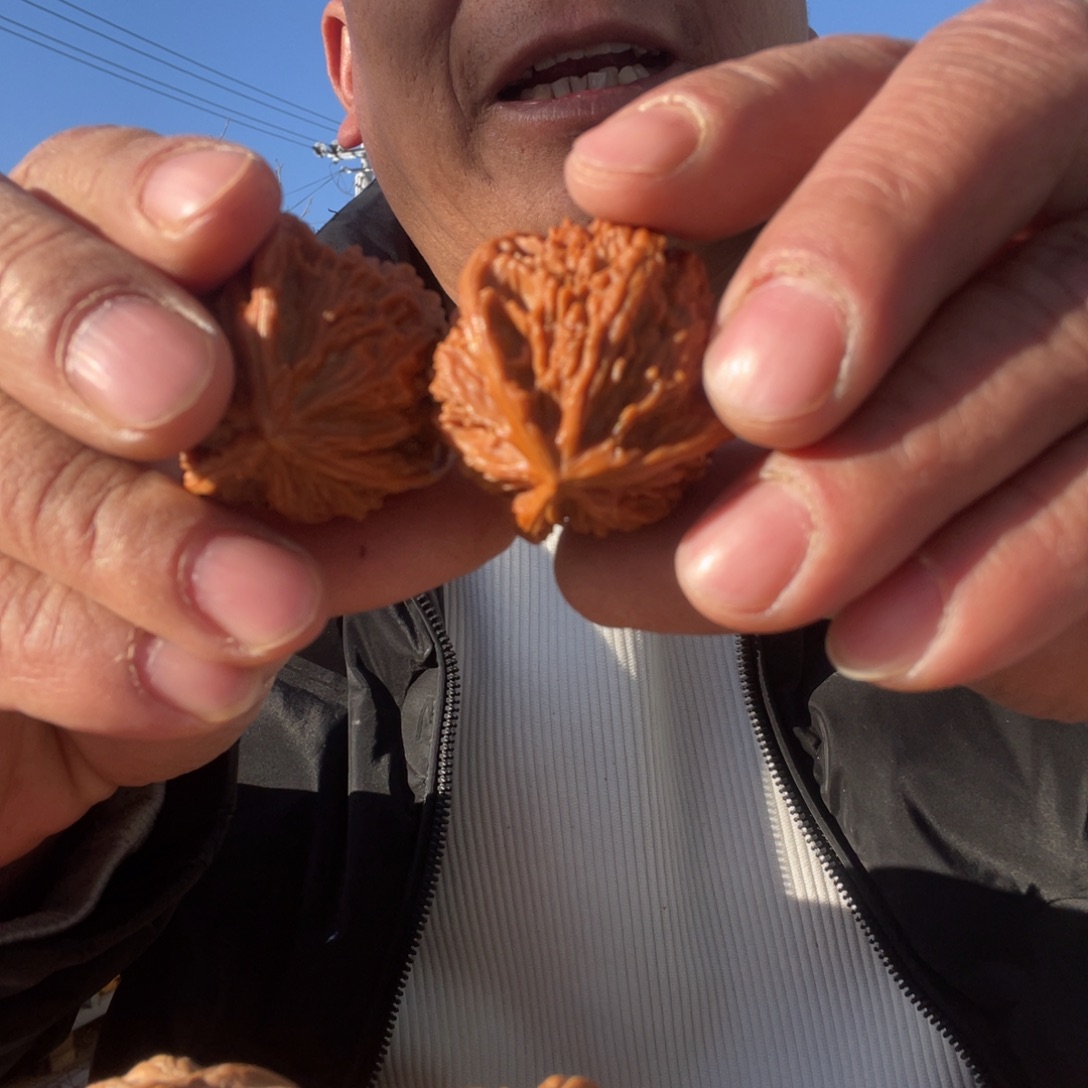 心***月文玩核桃吊坠野虎38