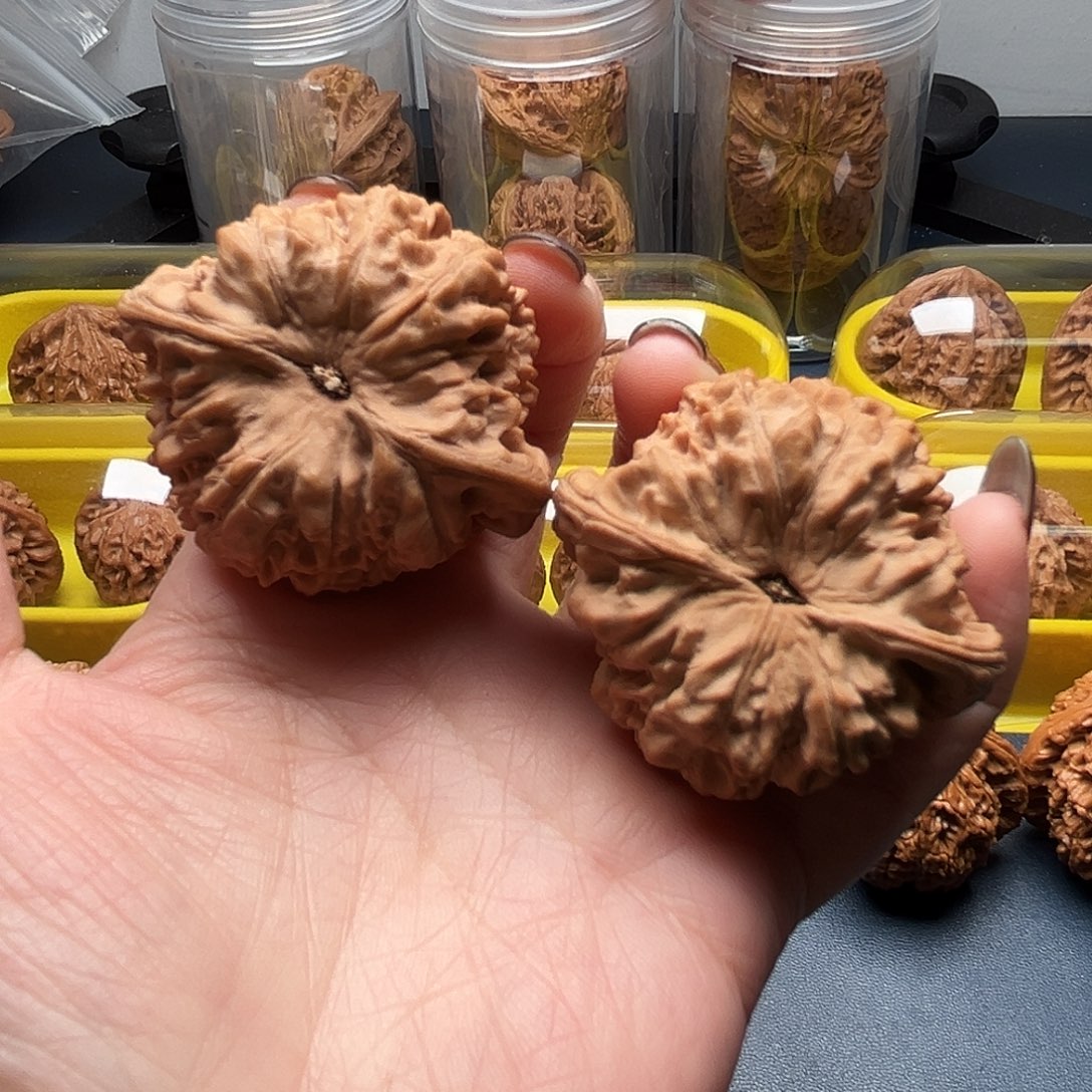 拿****核桃47尺寸大官帽