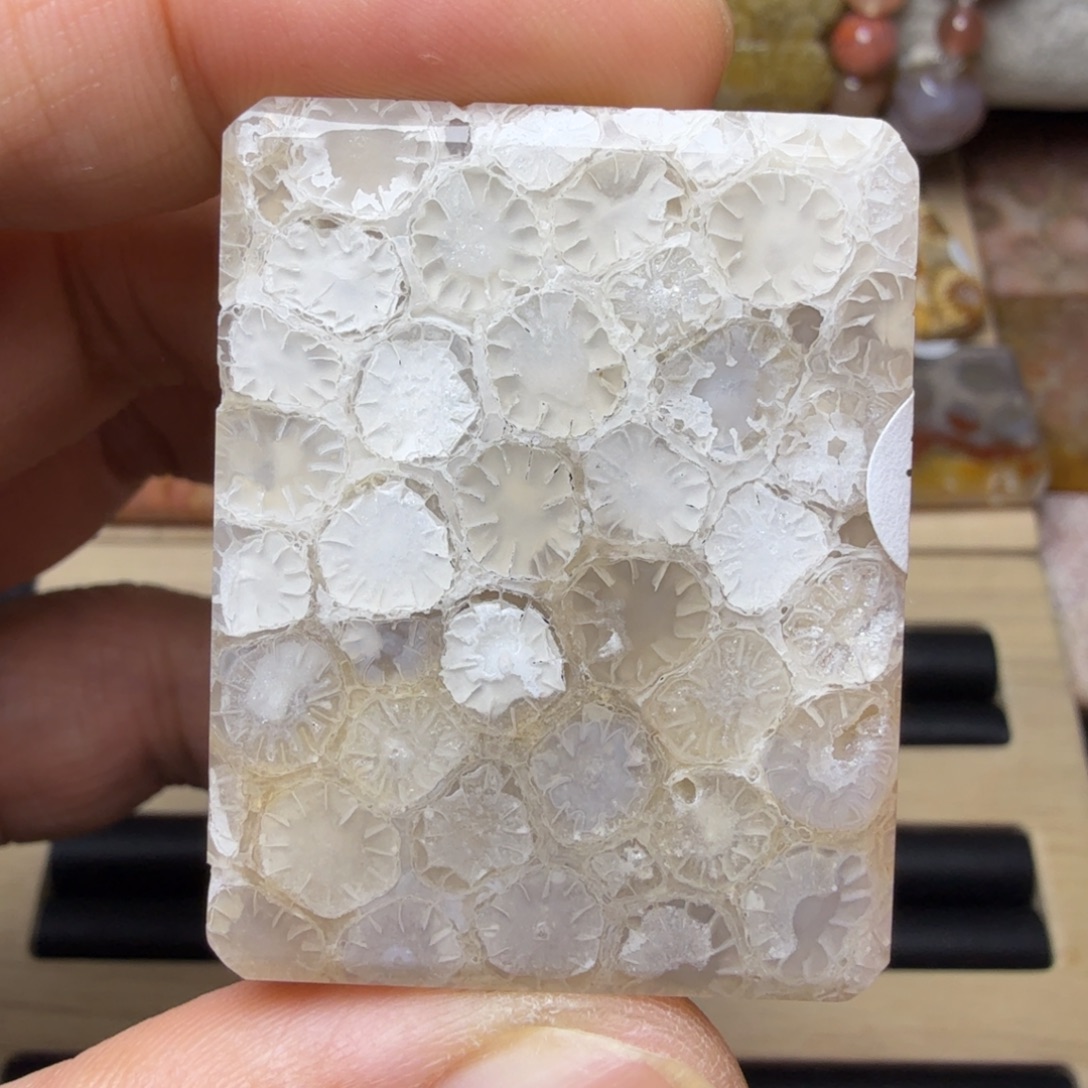 硅化玉未镶嵌纯天然色有机玉石保真色