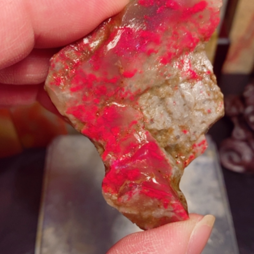 【闪购商品】昌化石牛角冻鸡血原石毛料