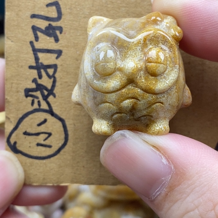 硅化珊瑚（珊瑚玉）未镶嵌颈饰