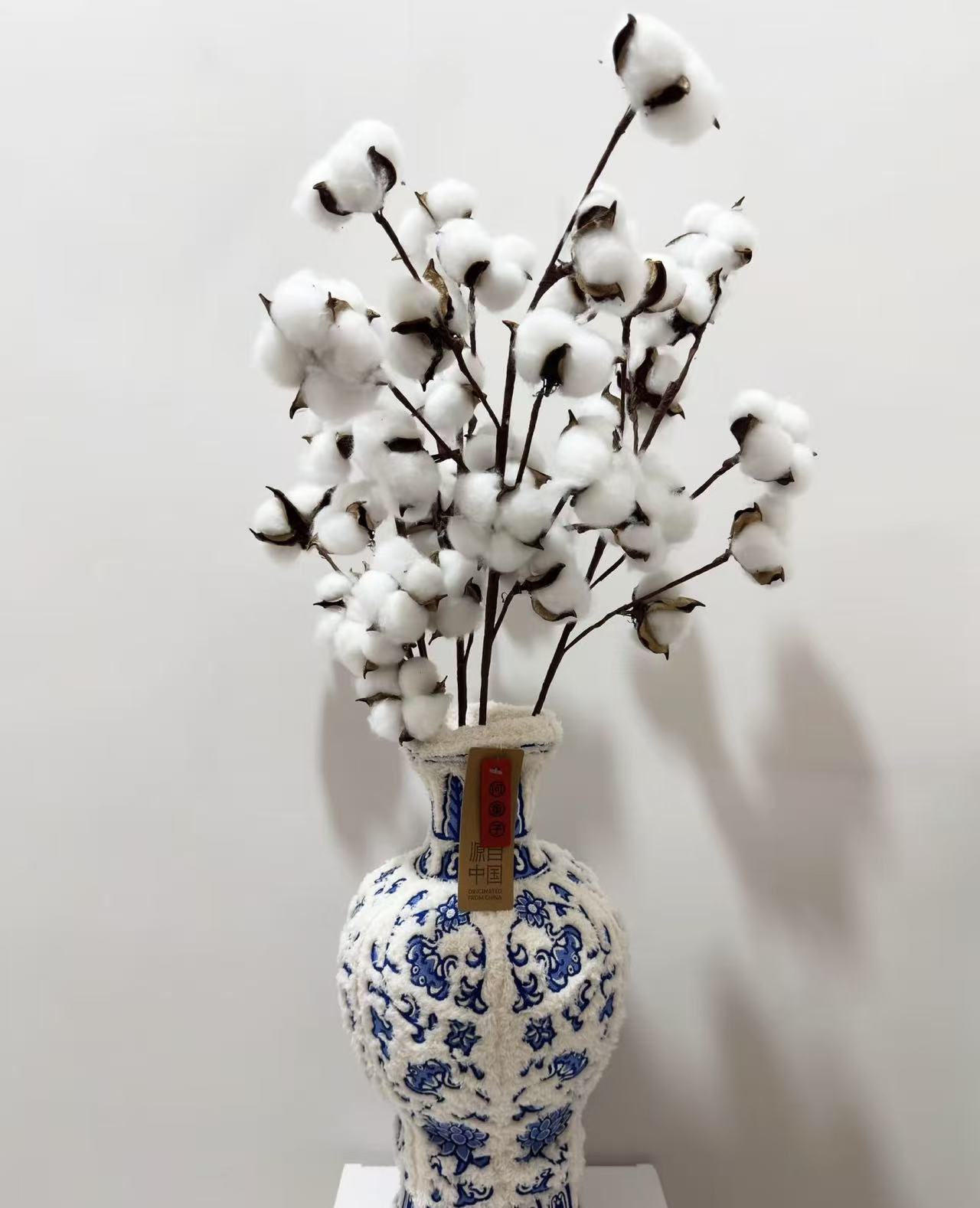 【拾花拾木】铁丝棉花云南干花昆明