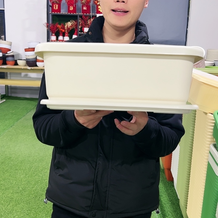 小菜盆长38宽28高15混色3只带托