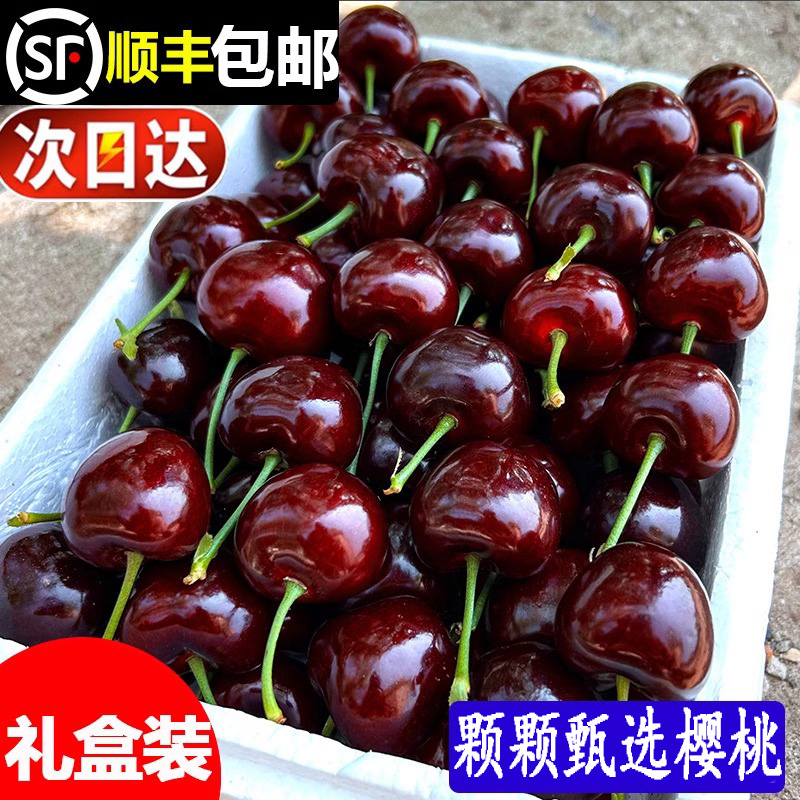 【5斤J-4J】进口车厘子特大果 色泽诱人现货顺丰空运脆甜车厘子樱桃
