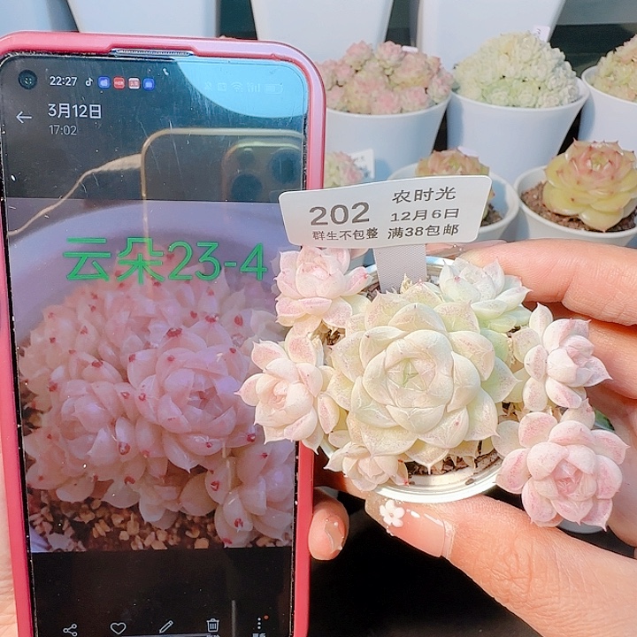 1206-202云朵23-4