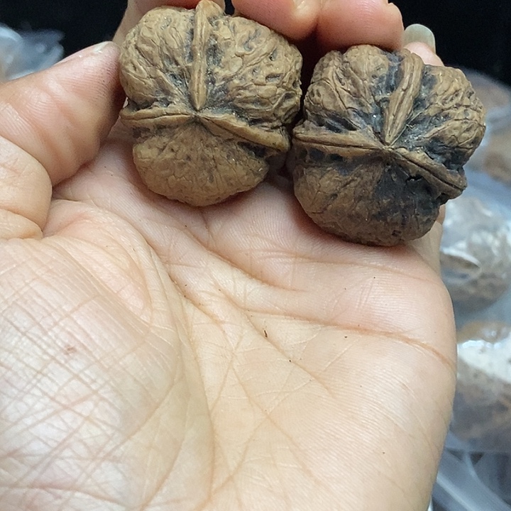 把件文玩核桃云南铁核桃基地48