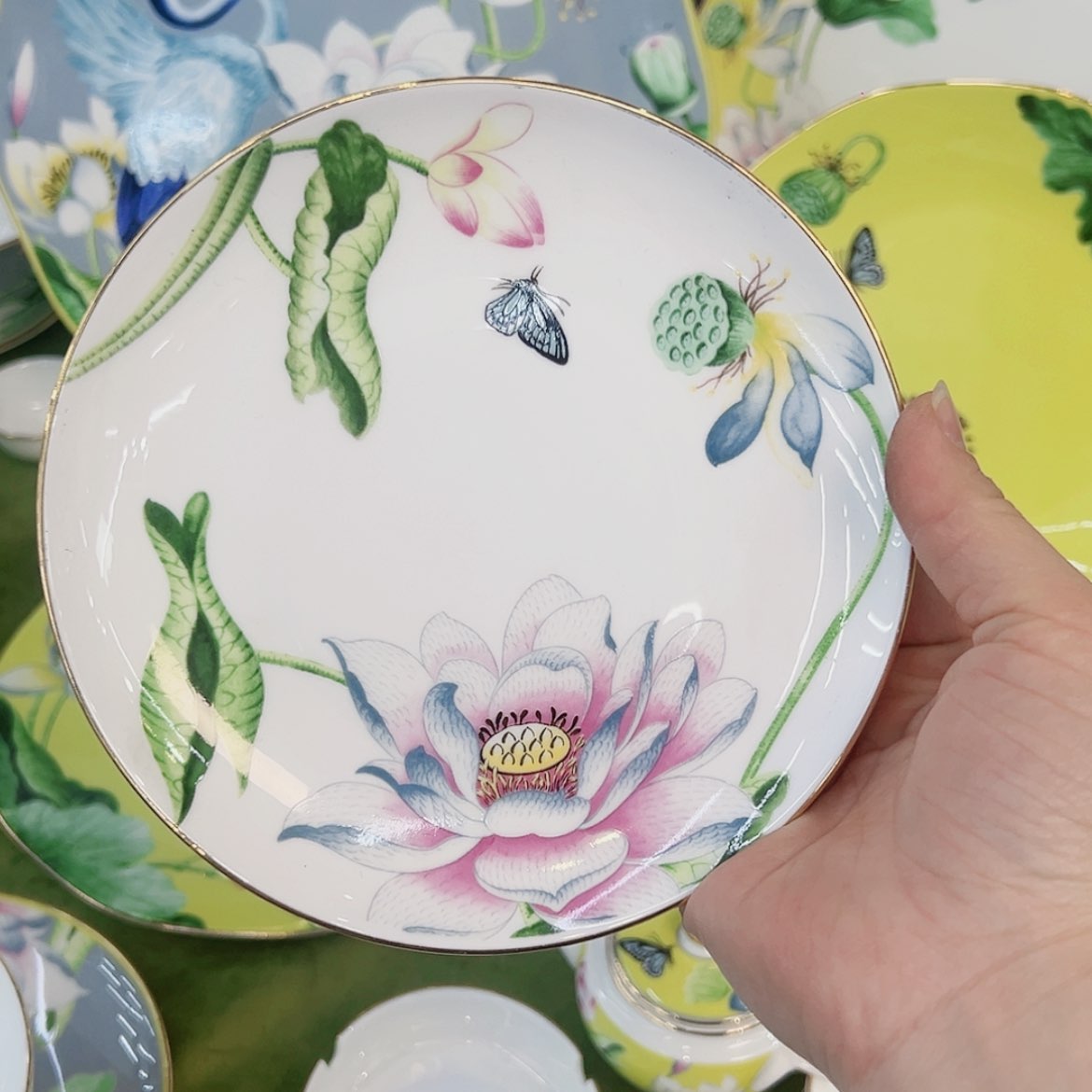 【闪购商品】骨瓷6寸