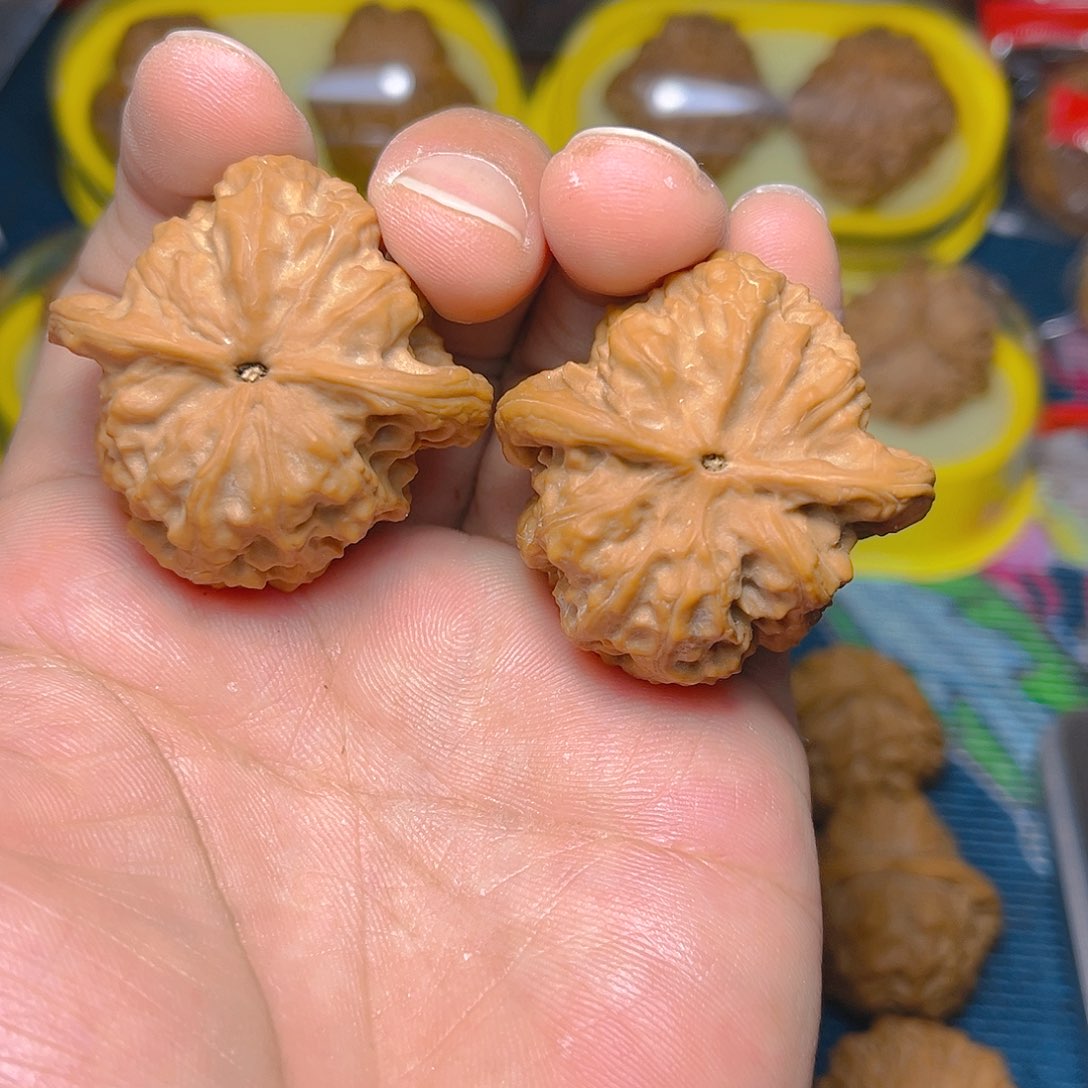 文玩核桃吊坠野狼