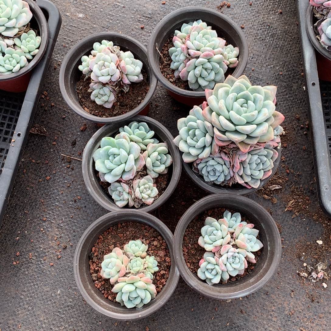 6哈哈哈哈哈哈哈哈