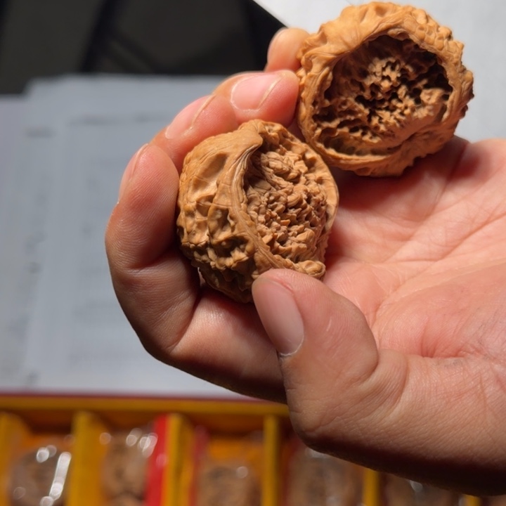 把件文玩核桃1027号聚宝盆蛇王45-50mm