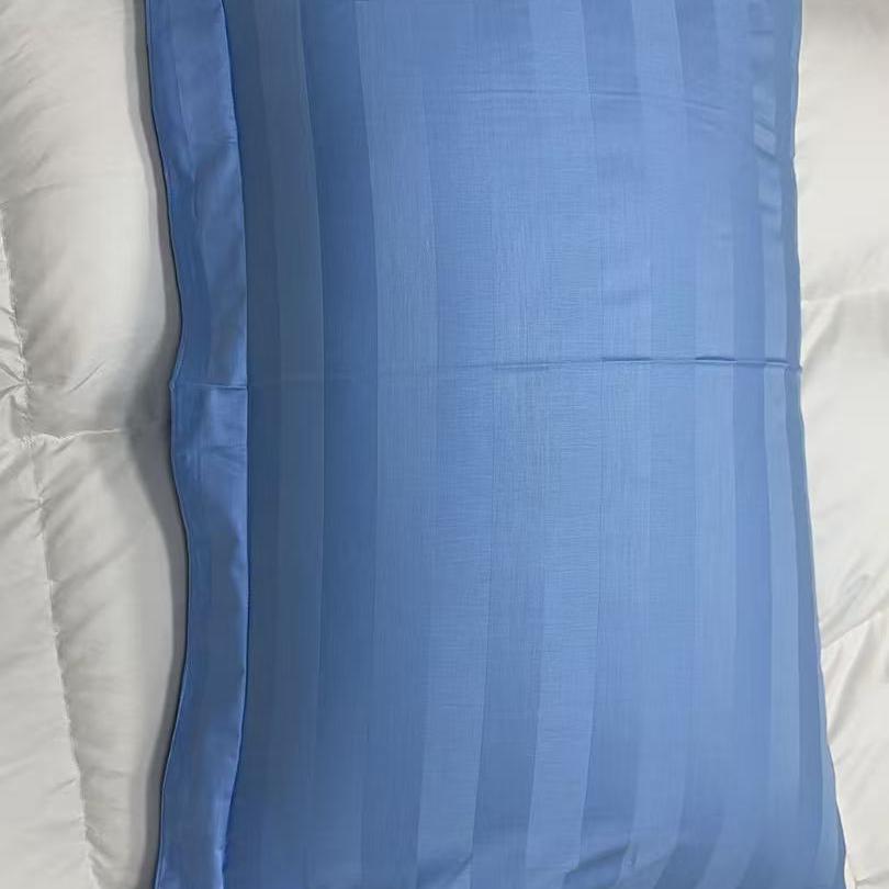 舒适透气四季通用加厚纯棉枕套