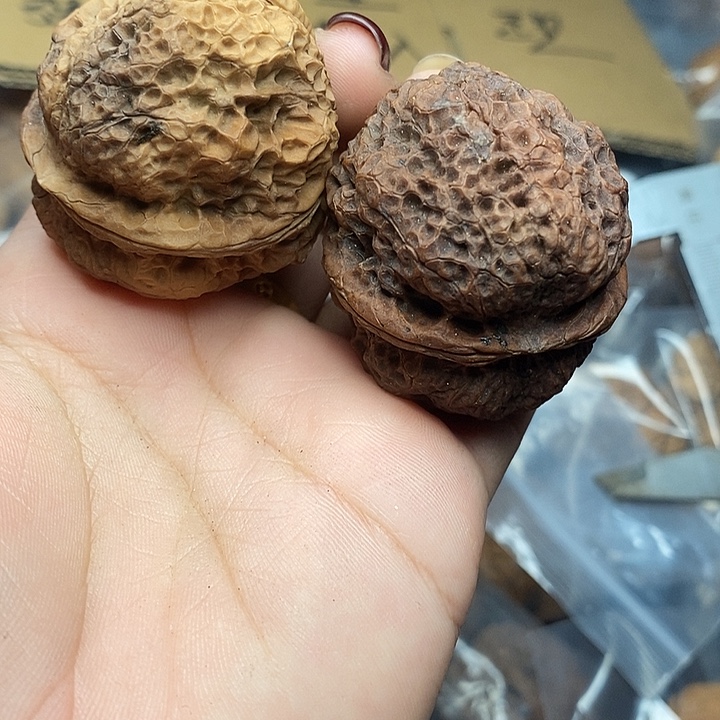 文玩核桃把件75号44mm