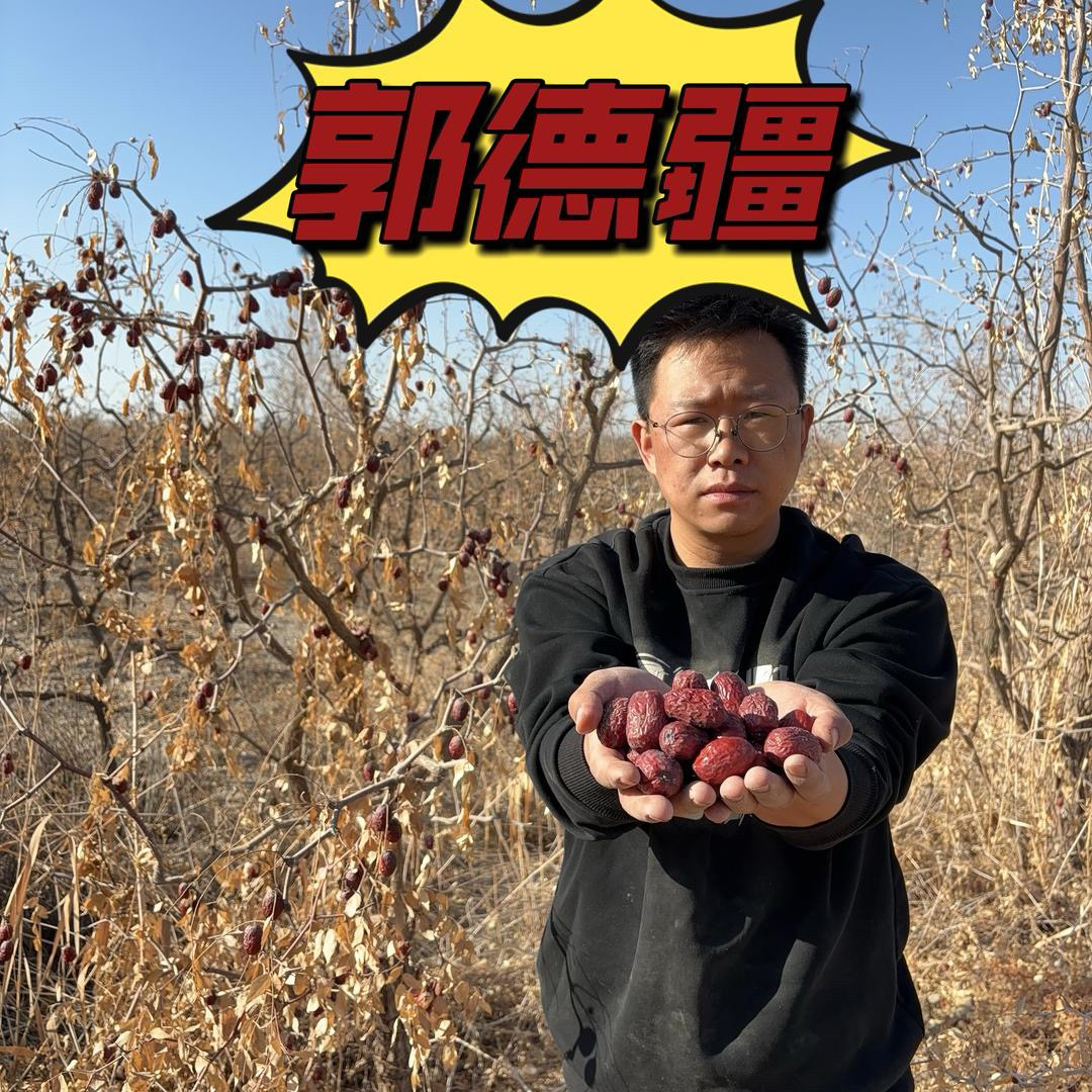 新疆若羌灰枣新疆直发原生态未清洗沙漠吊干新枣郭德枣全国包邮