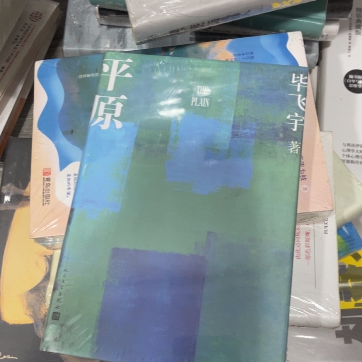 平原八米精装一个