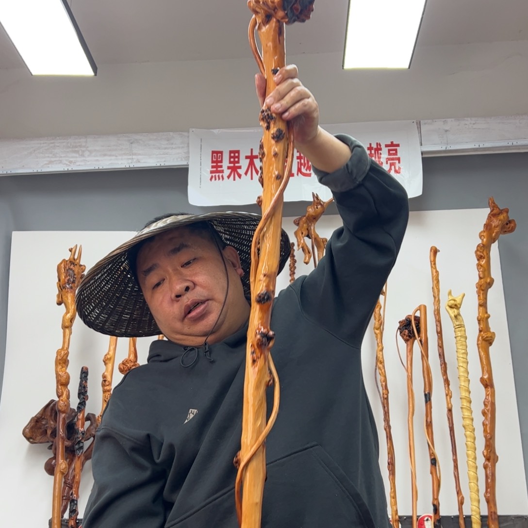 黑果木其他李****）黑果木658