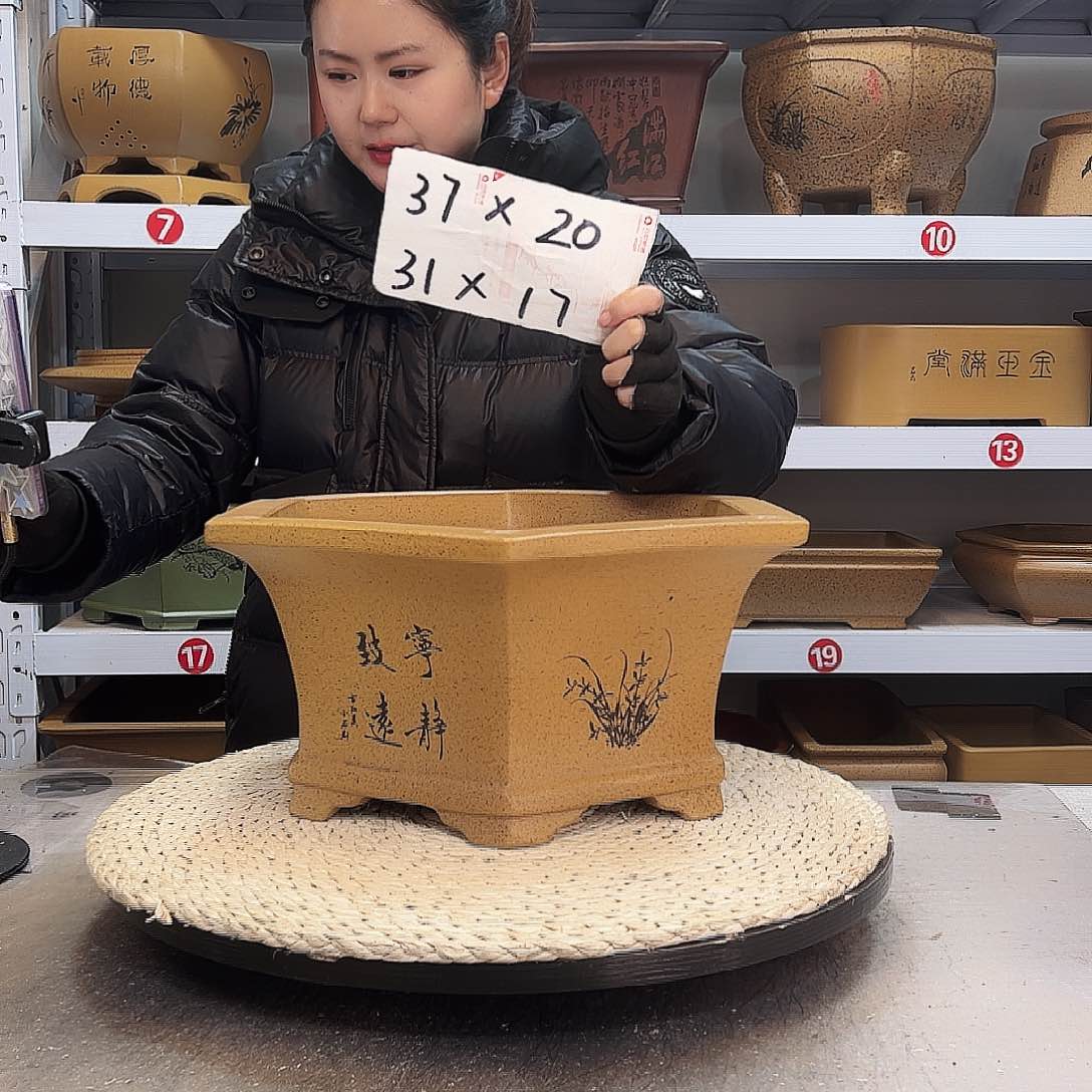 紫砂花盆紫砂花盆