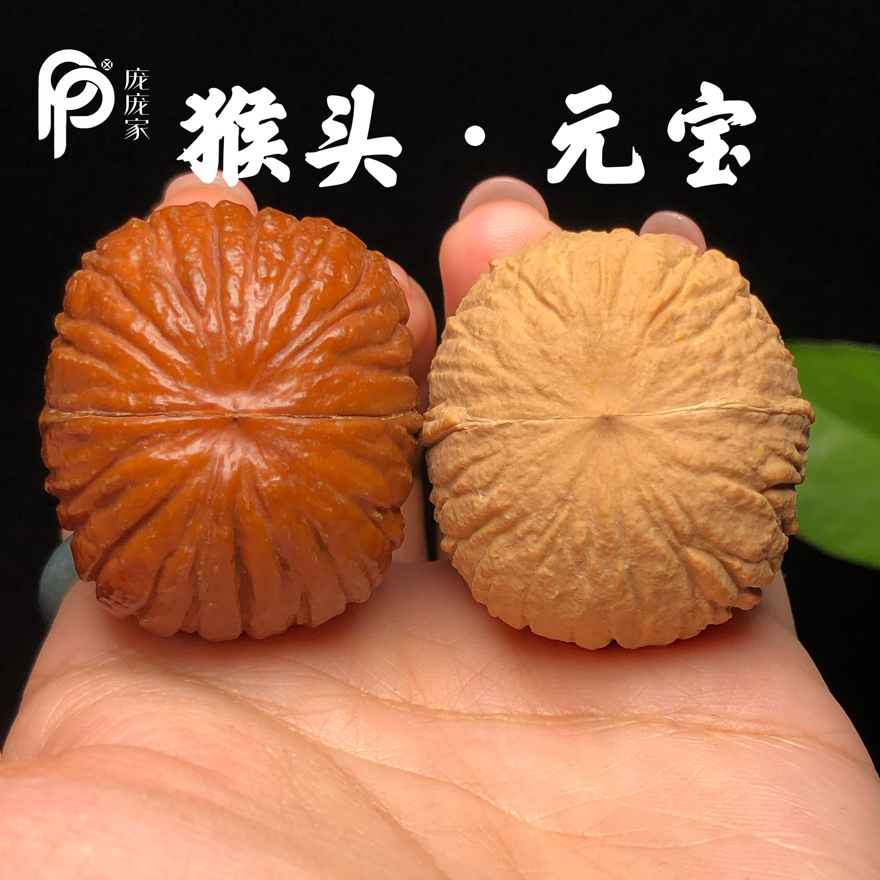 猴头元宝 文玩核桃把玩核桃