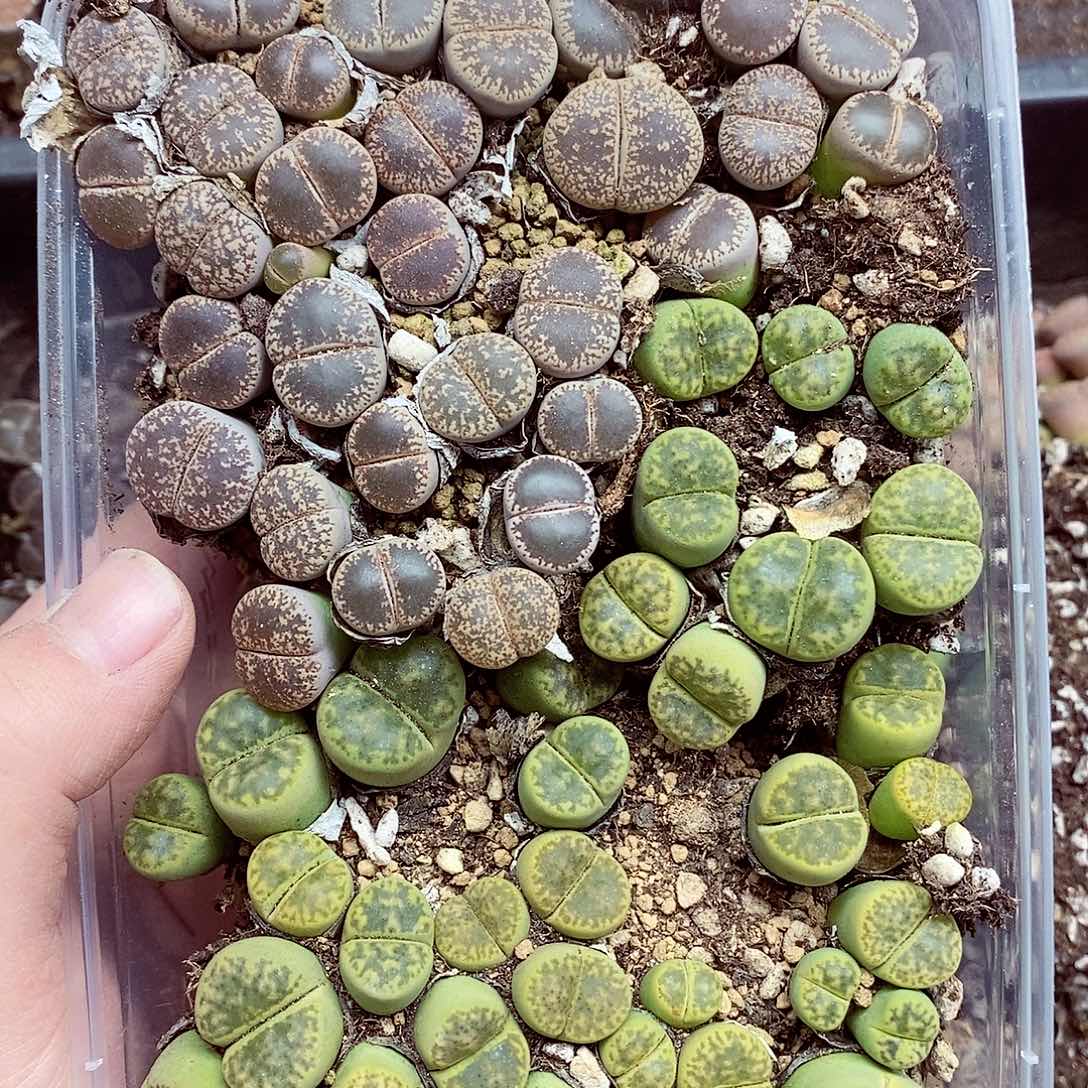 我们一起暴富吧124
