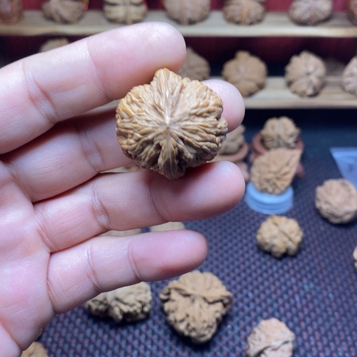 毛***澜文玩核桃把件文玩