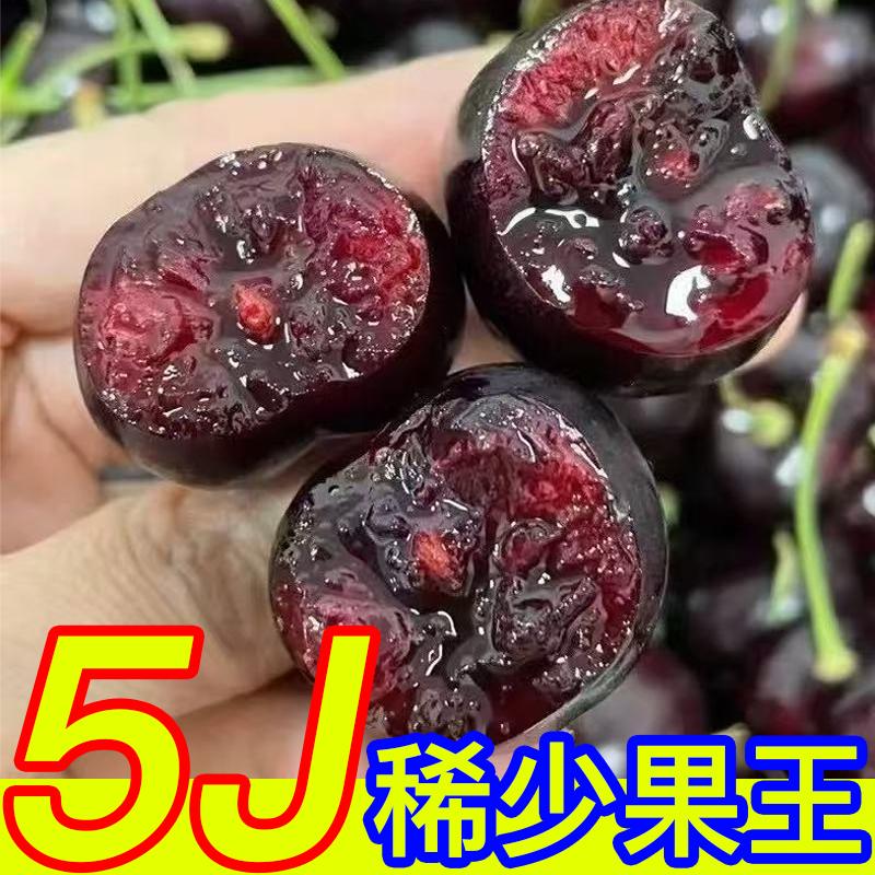 【5J果王】智利进口空运黑车厘子桑缇娜5J净重800g-5斤3内附果径卡