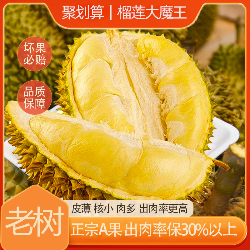 【老树金枕一物一拍C】新鲜整果核小肉厚味浓绵密干耗10%左右