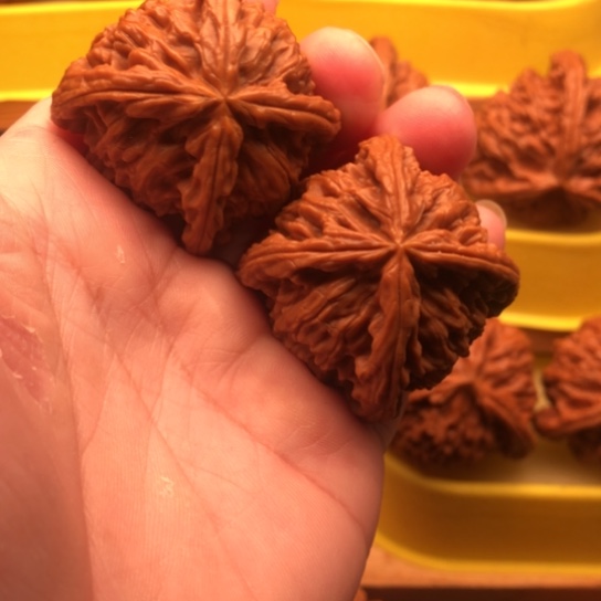 小***K核桃核桃核桃核桃核桃