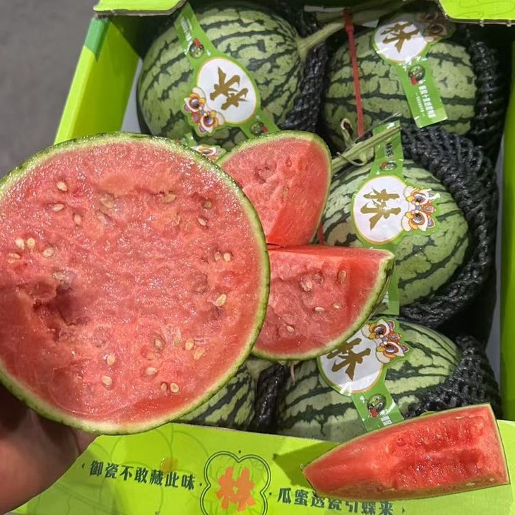 冰糖小西瓜（2-3斤）1个装西瓜西瓜同城配吉林省