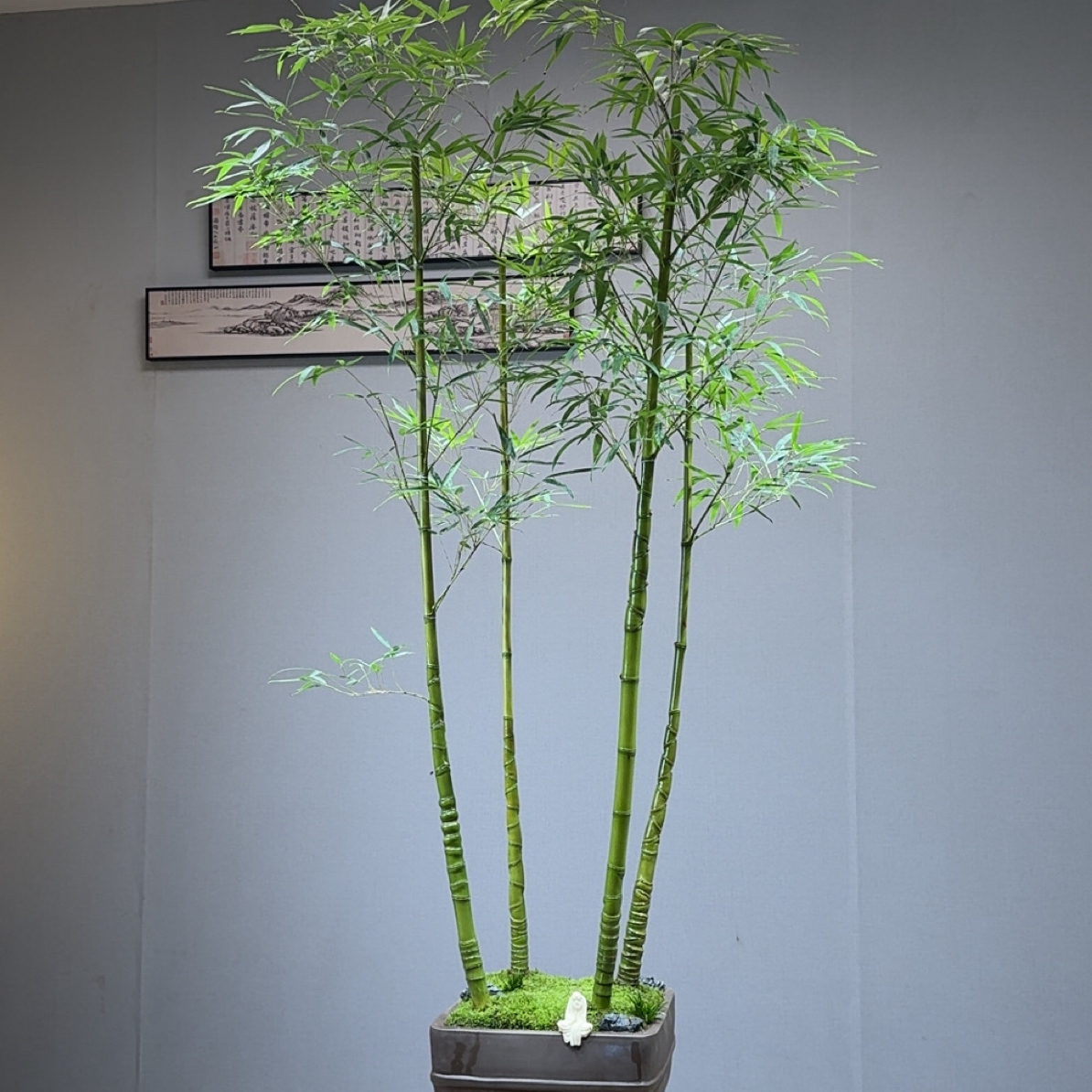 丛林精品龙鳞竹盆景 茶室意境款竹盆景808款4杆【少东家手艺盆景】