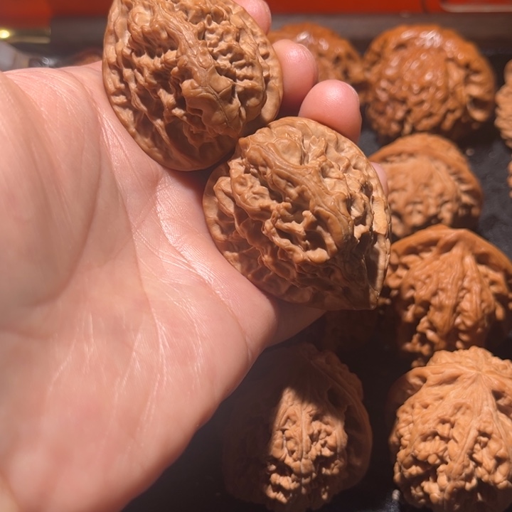 吊坠龙脊菩提十三陵鸡心