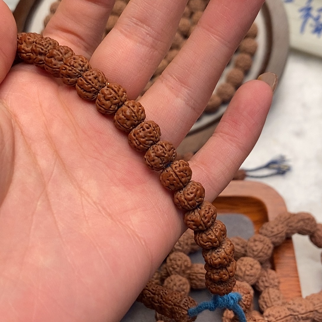 下***点金刚菩提吊坠老树王