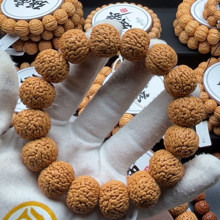 亓****4精品龙鳞凤尾18.8尺寸