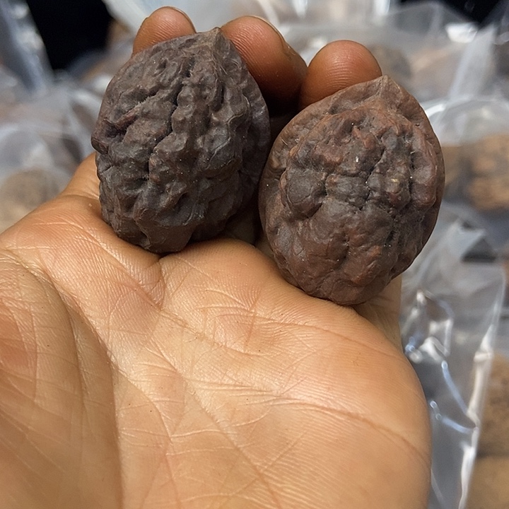 把件文玩核桃云南铁核桃基地7