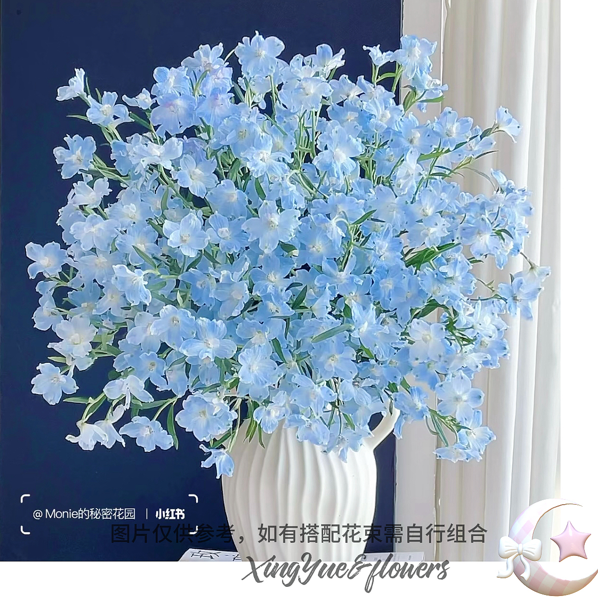 【星玥鲜花】宝熠小飞燕 不掉瓣的神仙小飞燕