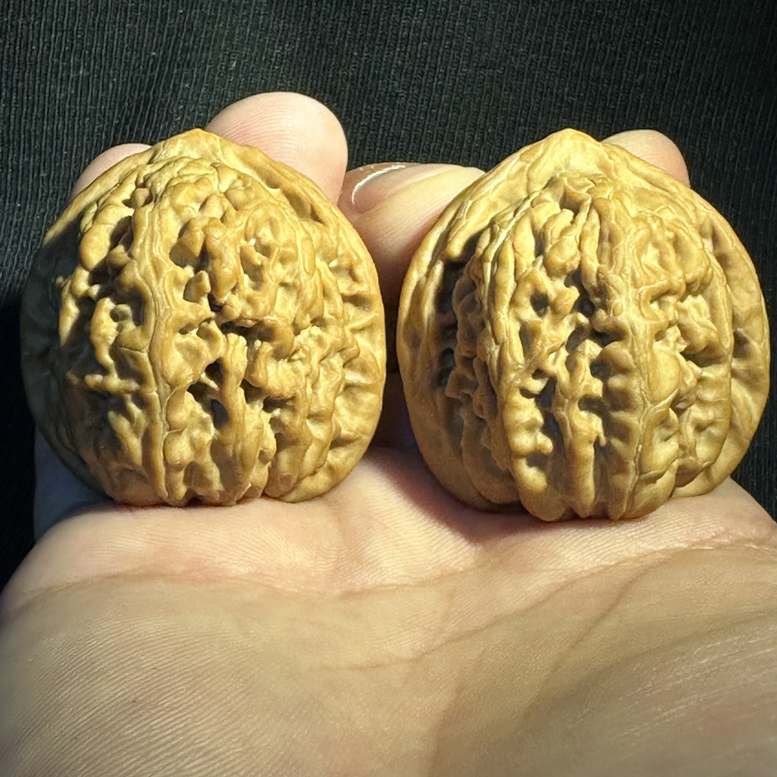 【凤凰台】采自山西 骨质清脆 胶质感皮质