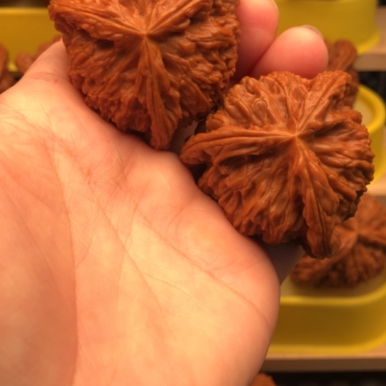 核桃核桃核桃核桃核桃