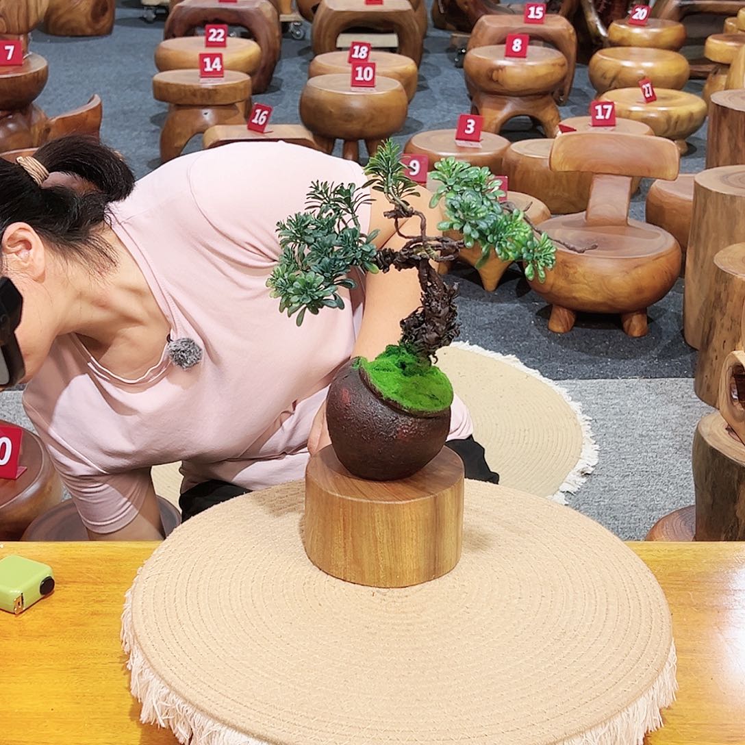 号香樟木尺寸：13-13-8cm