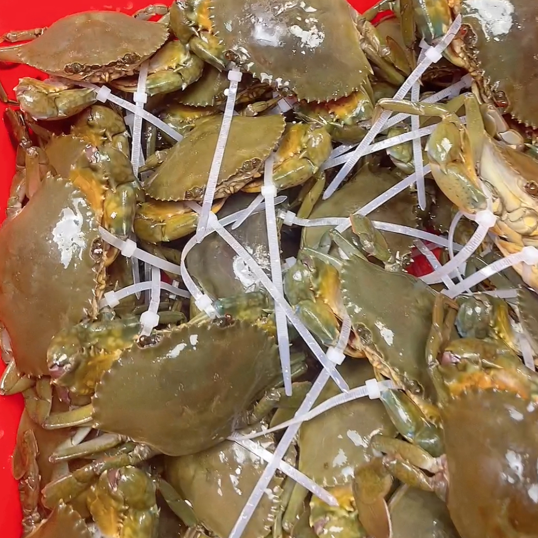 现称链接 东山岛青蟹 一单一改价 勿放冰箱