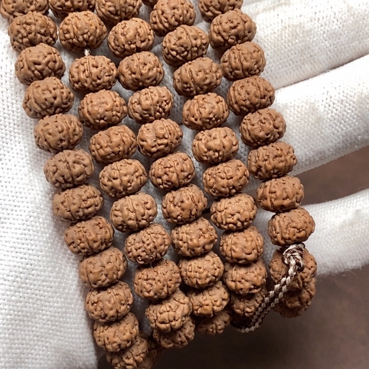 ~***~金刚菩提吊坠树王