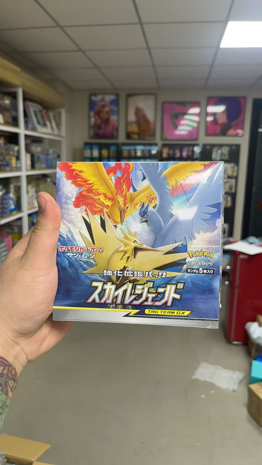 宝可梦 日版SM10B三鸟 原盒  单包