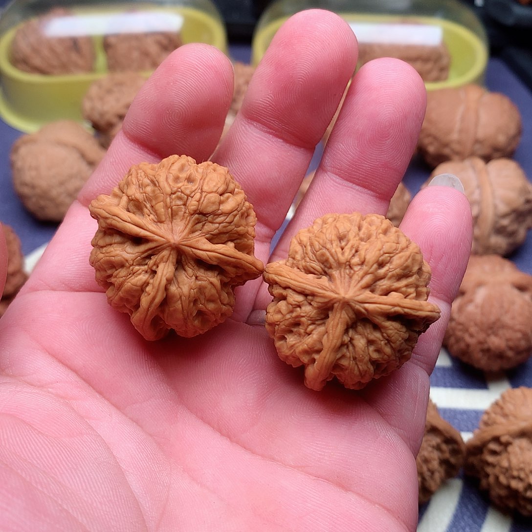 文玩核桃把件1**4福利