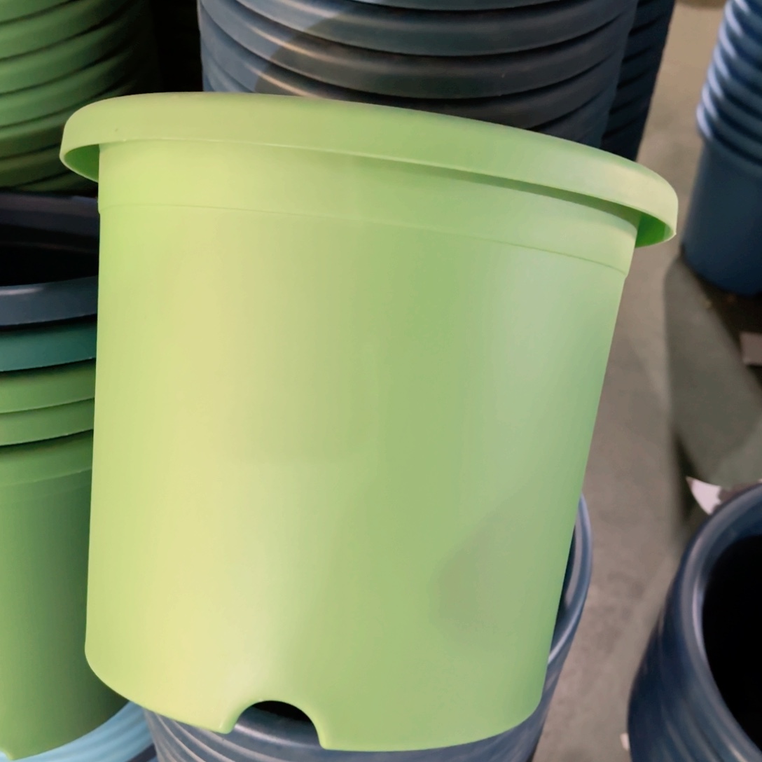 树脂特价5#无拖草绿6个