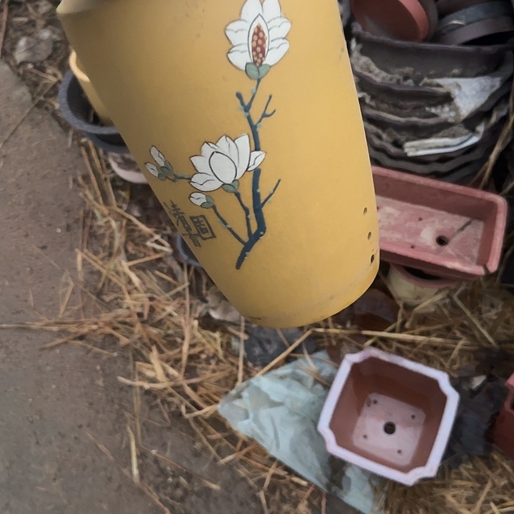 一叶的话都不会放进我手里去听