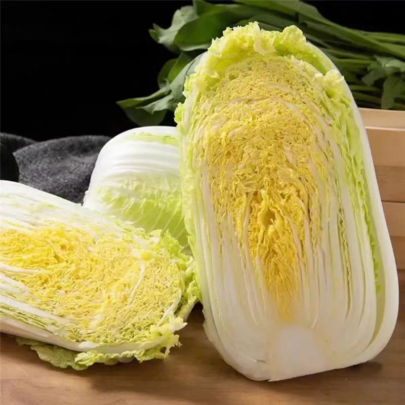 蔬服蔬菜黄心小白菜高原高山露天种现砍现发新鲜蔬菜黄心娃娃菜