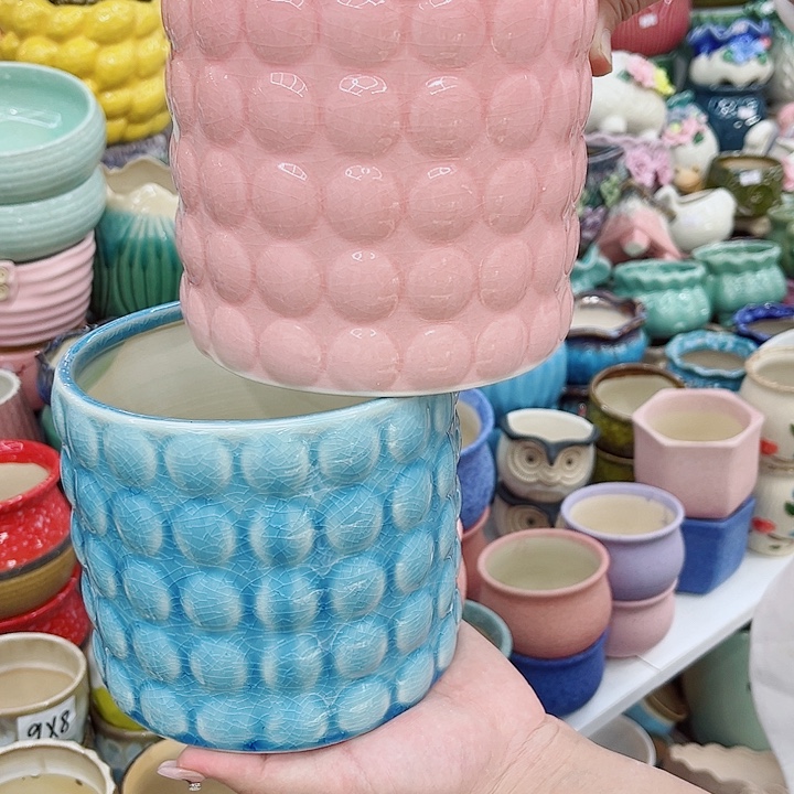 多肉植物陶瓷花盆