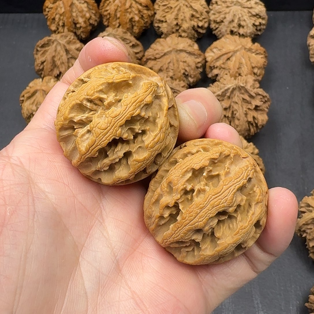 桃木突突突突突突突突