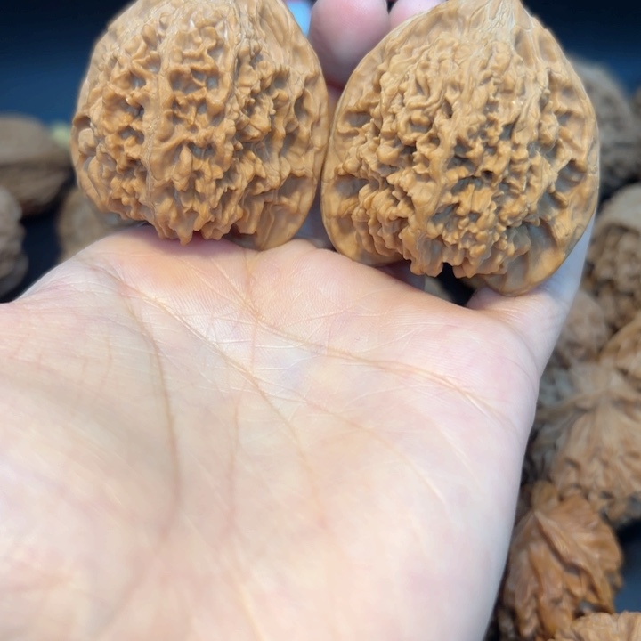 45满天星全品无修全品无修