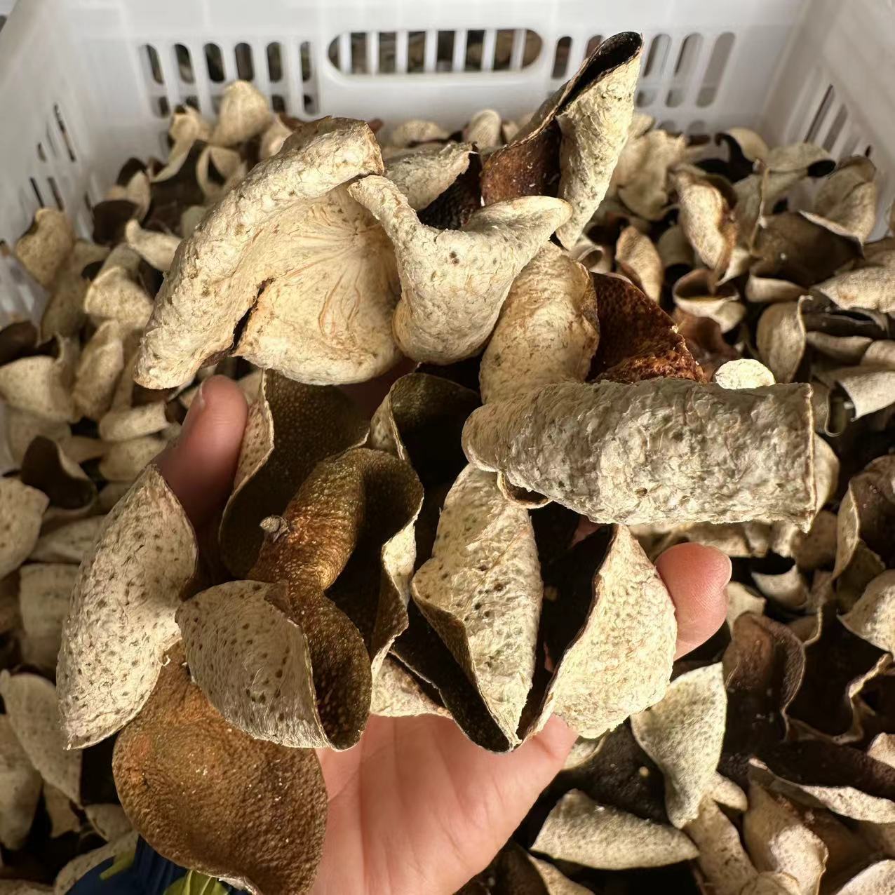 2020年南坦花青皮薄荷香