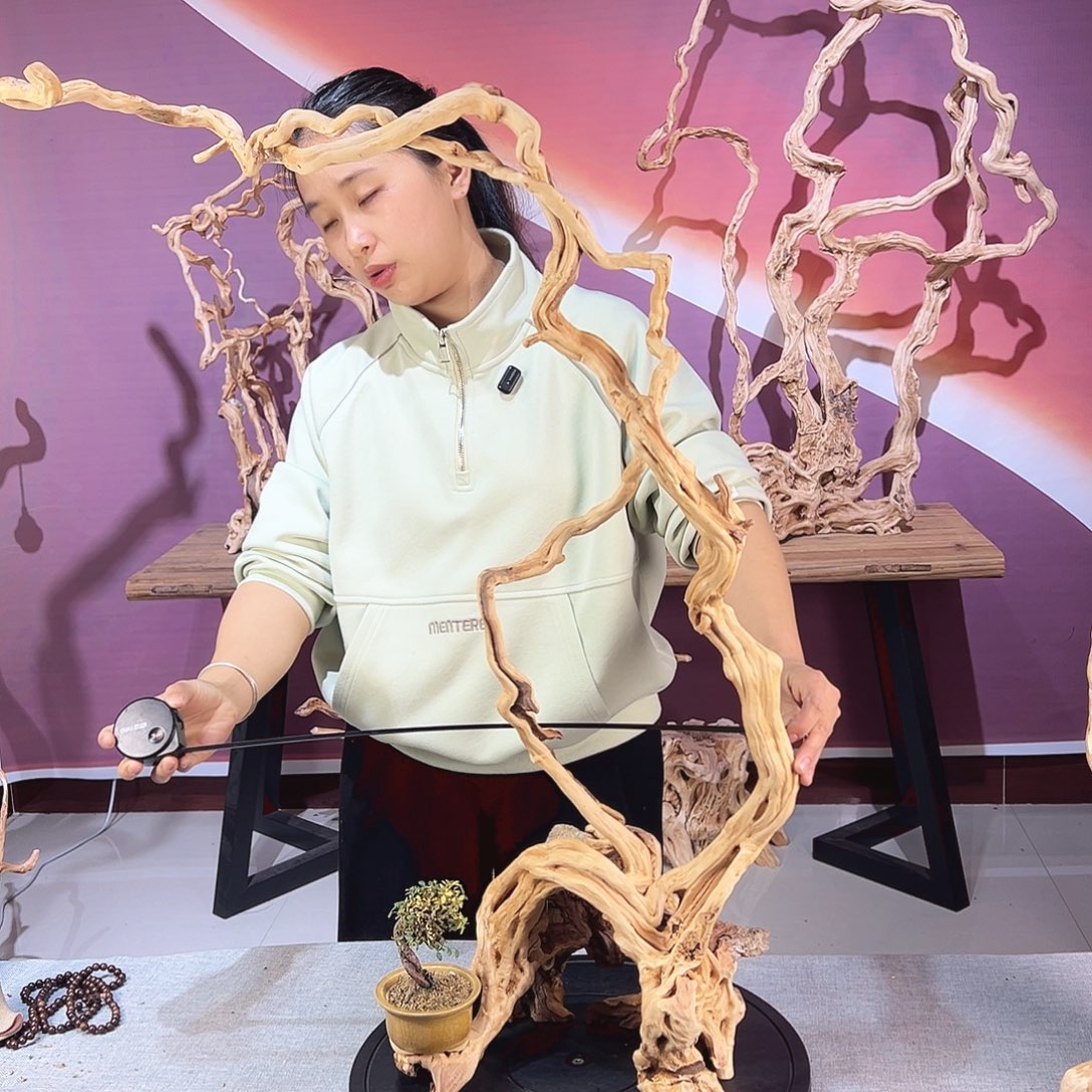 追***梦木天然杜鹃根根艺摆件